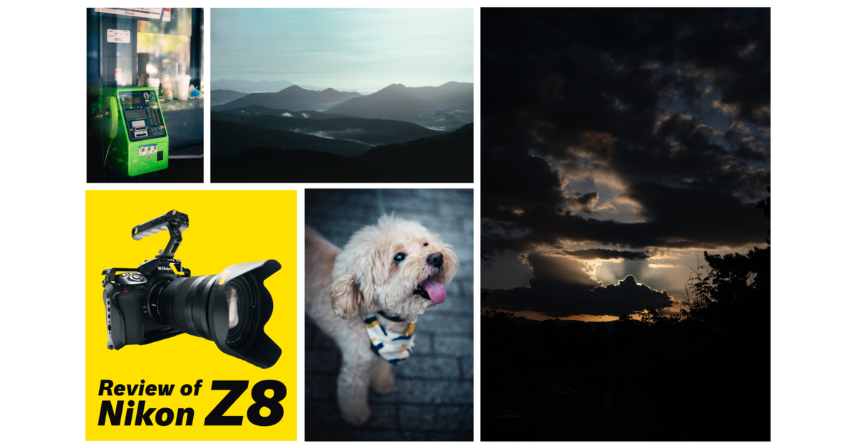 Nikon Z 8レビュー】天下の描画力を誇るNikonが贈る、最高峰の