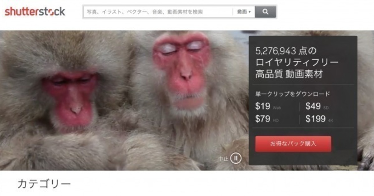 Shutterstockを使った動画編集について Vook ヴック