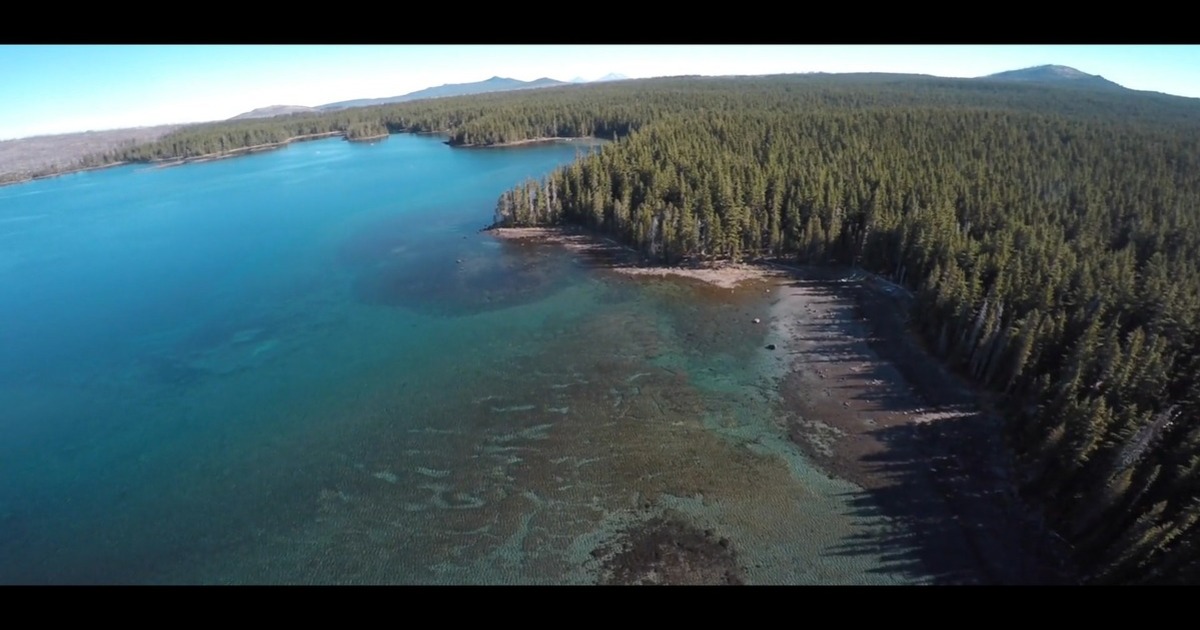 ogp_1200_180adefc-956d-4d59-