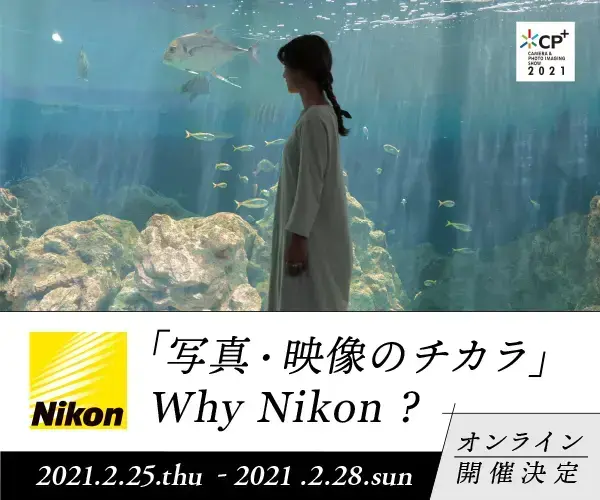 静止画だけではない 動画 にも強いハイブリッドなカメラnikon Z シリーズの魅力 Vook ヴック