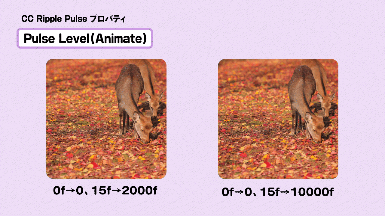 CC Ripple Pulseとは - ディストーション | Vook(ヴック)
