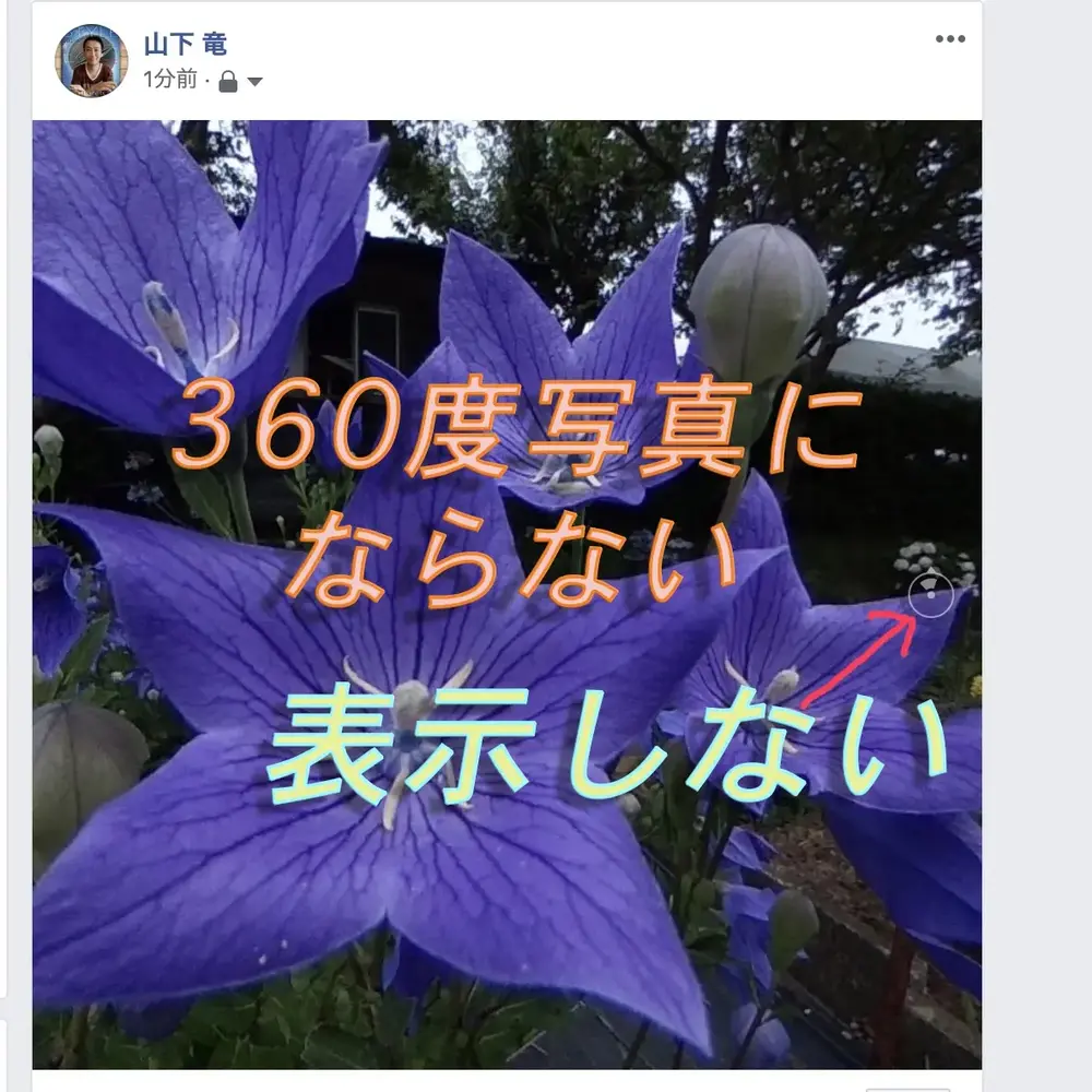 360度カメラで撮影してfacebookやlineに投稿しても360度写真にならない時の対処方法 Vook ヴック